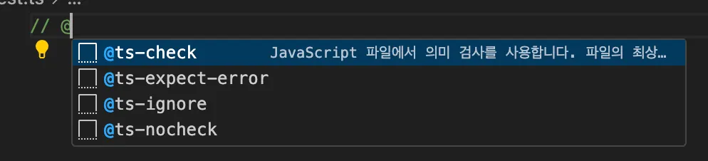TypeScript 지시어 주석