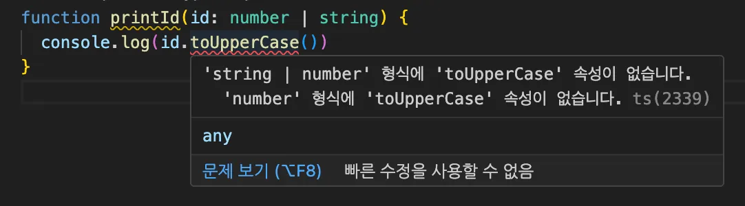 유니언 타입 에러 예제