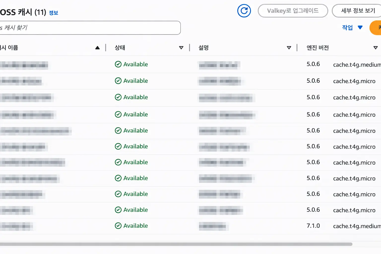 Redis OSS 캐시 클러스터 목록 — 대부분 5.0.6